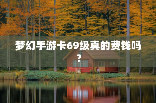 梦幻手游卡69级真的费钱吗？