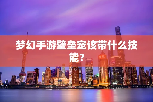 梦幻手游壁垒宠该带什么技能？