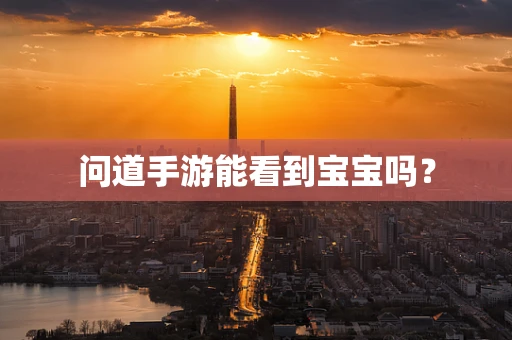 问道手游能看到宝宝吗？