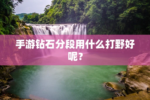手游钻石分段用什么打野好呢？