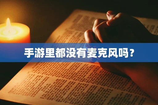 手游里都没有麦克风吗？