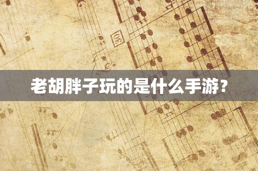 老胡胖子玩的是什么手游？