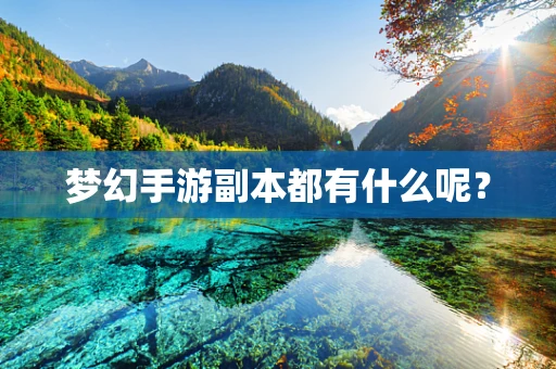 梦幻手游副本都有什么呢？