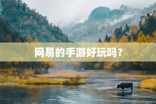 网易的手游好玩吗？