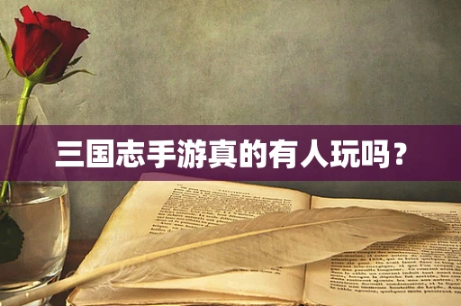 三国志手游真的有人玩吗？
