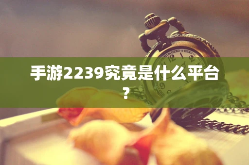 手游2239究竟是什么平台？
