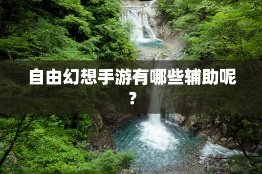 自由幻想手游有哪些辅助呢？