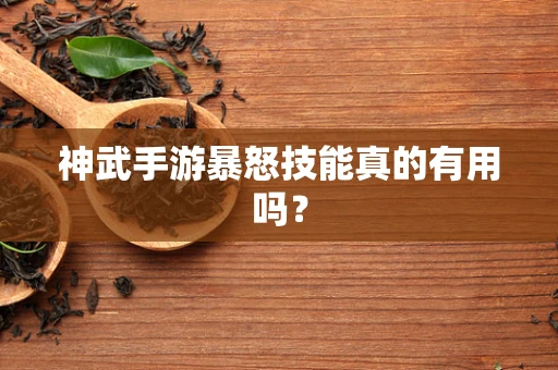 神武手游暴怒技能真的有用吗？