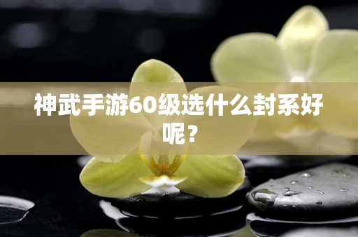 神武手游60级选什么封系好呢？