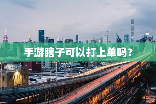 手游瞎子可以打上单吗？