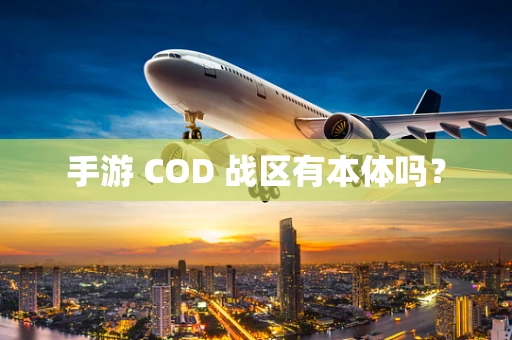 手游 COD 战区有本体吗？