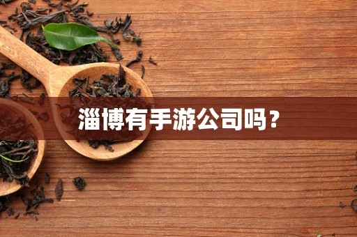 淄博有手游公司吗？