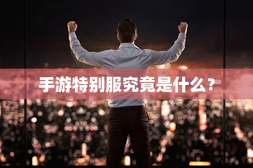 手游特别服究竟是什么？