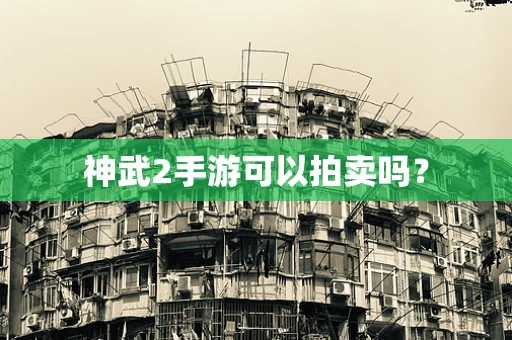神武2手游可以拍卖吗？