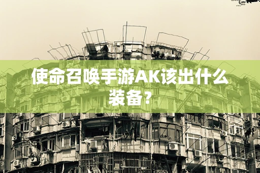 使命召唤手游AK该出什么装备？