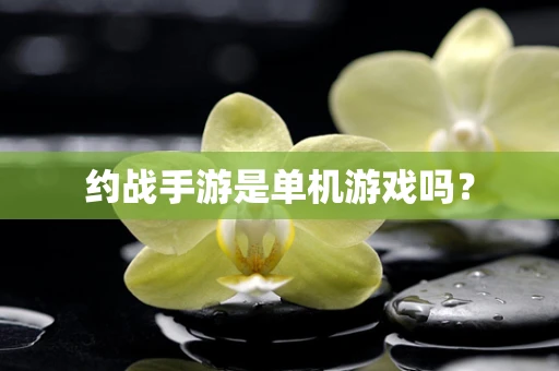 约战手游是单机游戏吗？