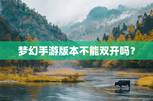 梦幻手游版本不能双开吗？