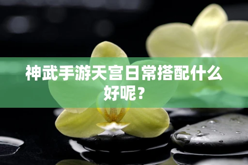 神武手游天宫日常搭配什么好呢？