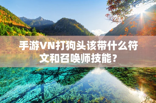 手游VN打狗头该带什么符文和召唤师技能？