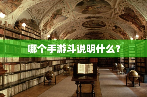 哪个手游斗说明什么？