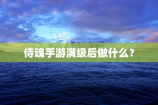 侍魂手游满级后做什么？