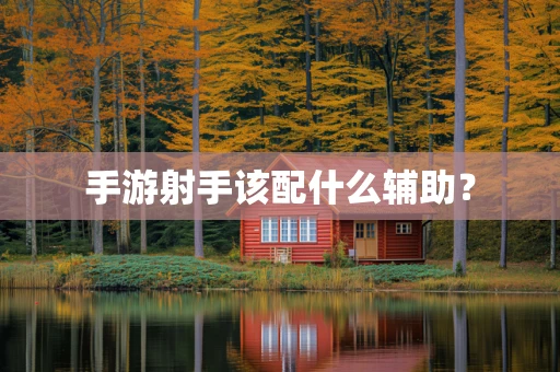 手游射手该配什么辅助？