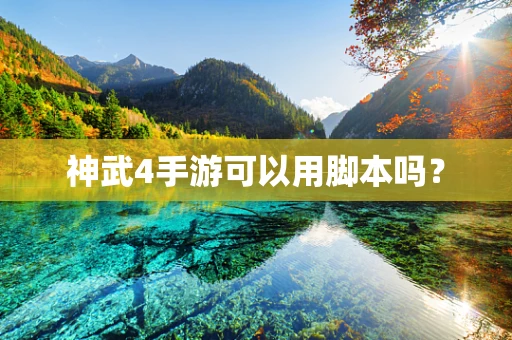 神武4手游可以用脚本吗？
