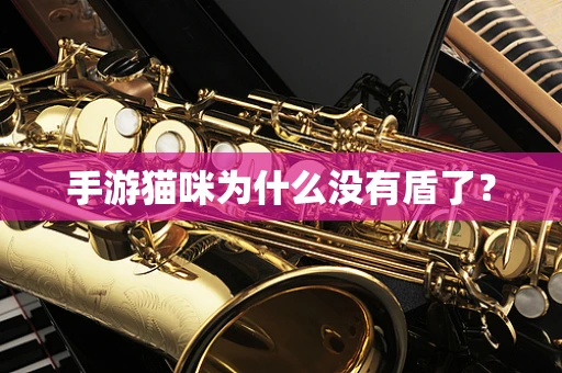手游猫咪为什么没有盾了？