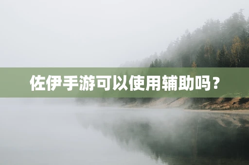佐伊手游可以使用辅助吗？