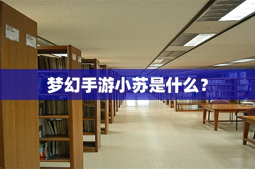 梦幻手游小苏是什么？