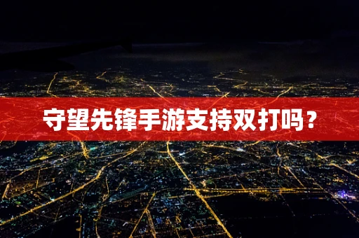 守望先锋手游支持双打吗？