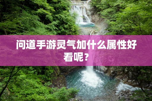 问道手游灵气加什么属性好看呢？