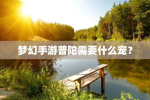 梦幻手游普陀需要什么宠？