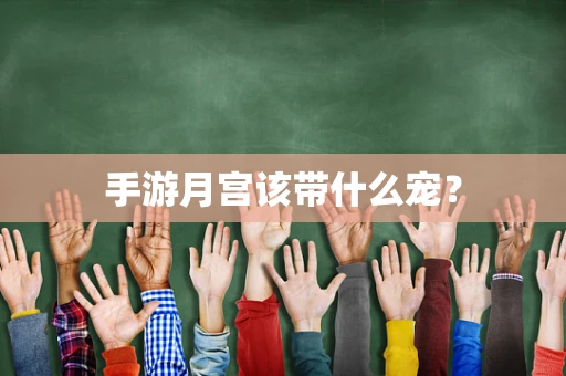 手游月宫该带什么宠？