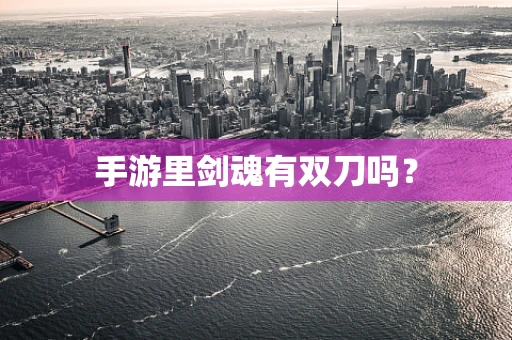 手游里剑魂有双刀吗？