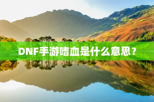 DNF手游嗜血是什么意思？