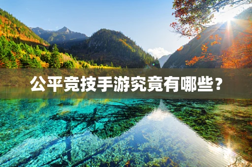 公平竞技手游究竟有哪些？