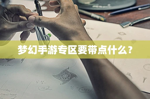 梦幻手游专区要带点什么？