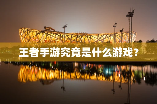 王者手游究竟是什么游戏？
