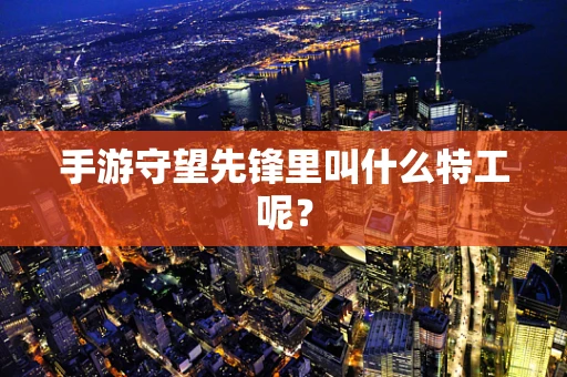 手游守望先锋里叫什么特工呢？