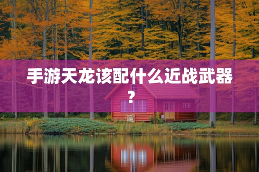 手游天龙该配什么近战武器？