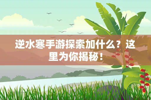 逆水寒手游探索加什么？这里为你揭秘！