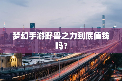 梦幻手游野兽之力到底值钱吗？