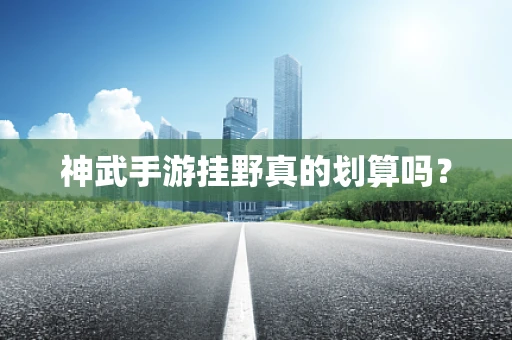 神武手游挂野真的划算吗？