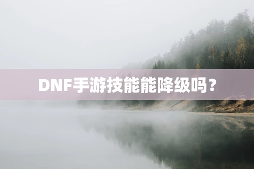 DNF手游技能能降级吗？