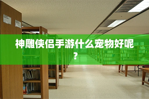 神雕侠侣手游什么宠物好呢？