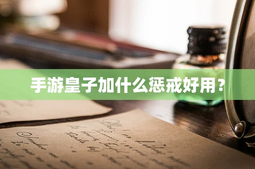 手游皇子加什么惩戒好用？