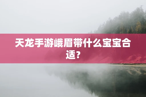 天龙手游峨眉带什么宝宝合适？