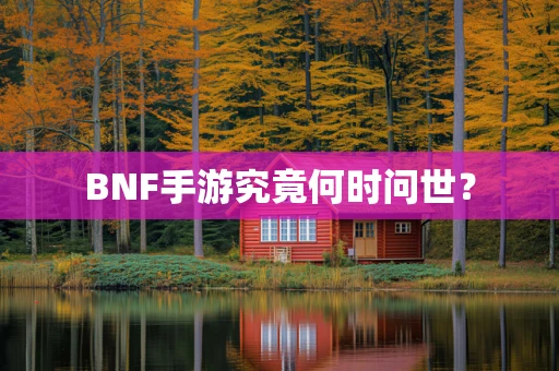 BNF手游究竟何时问世？