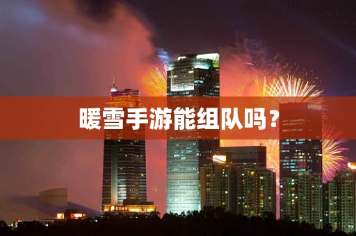 暖雪手游能组队吗？